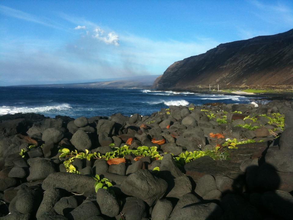 KānePa'a Hawaii